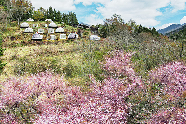 杓子山ゲートウェイキャンプ【山梨】